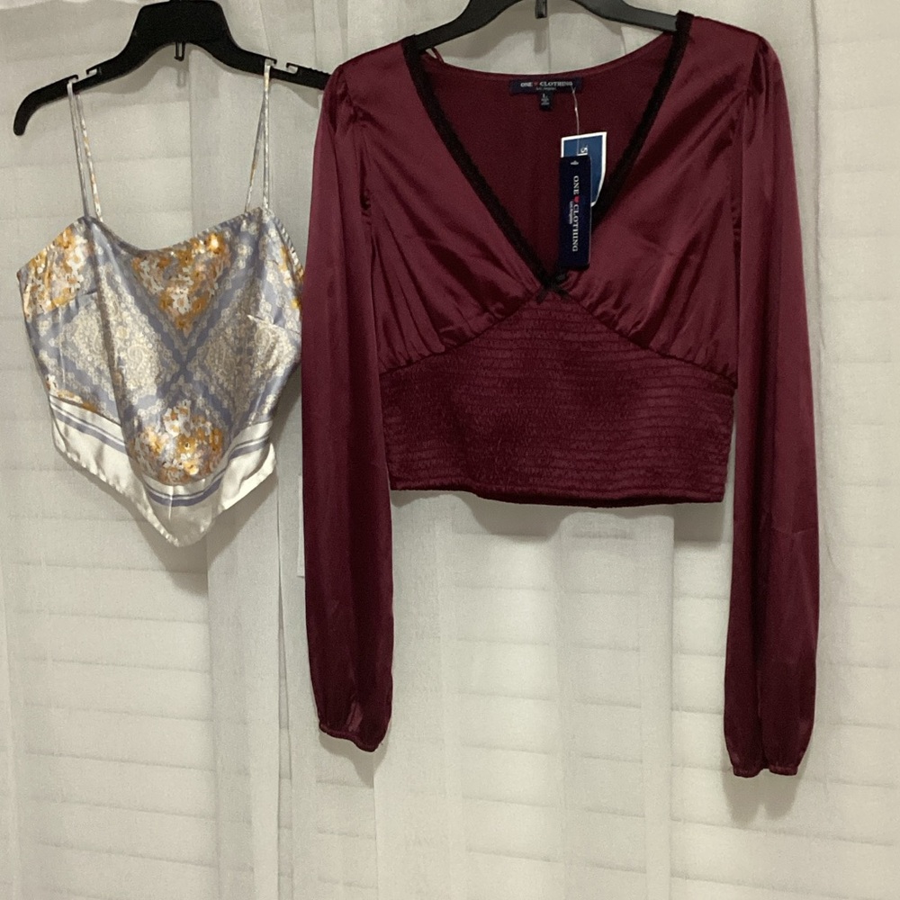 Combo of Long Sleeve Blouse and Satin Camisole tops.